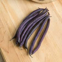 Amethyst – Purple Bush Bean Seeds