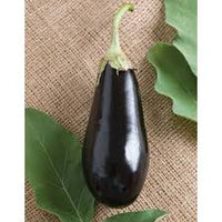 Traviata – Organic Eggplant Seed