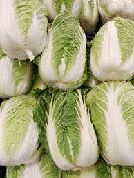 Cabbage, Chinese- Wombok