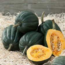 Tiptop PMR – Organic Acorn Squash Seeds