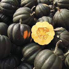 Tiptop PMR – Organic Acorn Squash Seeds