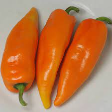 Capsicum- Hungarian Sweet Wax Red