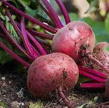 Beet Root Dark Red Vegetable Seeds