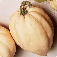 Winter Squash- Thelma Sanders 25g