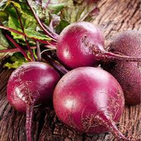 Beetroot- Egyptian Turnip Rooted