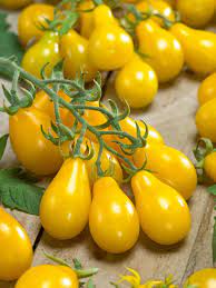 Tomato Plum Yellow Vegetable Seeds