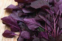 Choulai Red Edible, Amaranthus Red Edible Vegetable Seeds