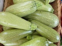 Zucchini- Genovese