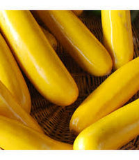 Zucchini- Golden