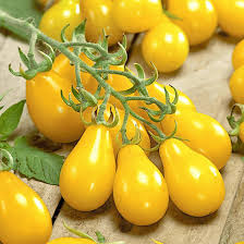 Tomato Yellow Pear Shaped Vegetable Seeds