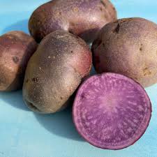 Adirondack Blue – Purple Seed Potatoes