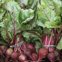 Beetroot- Early Wonder