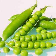 Peas Arkel Vegetable Seeds