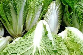 Cabbage Chinese Organic Vegetable Seeds