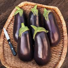 Traviata – Organic Eggplant Seed