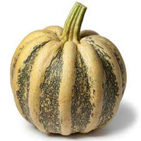 Pumpkin- Tonda Padana