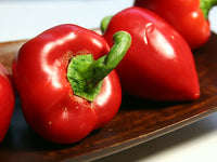 Capsicum- Pimento