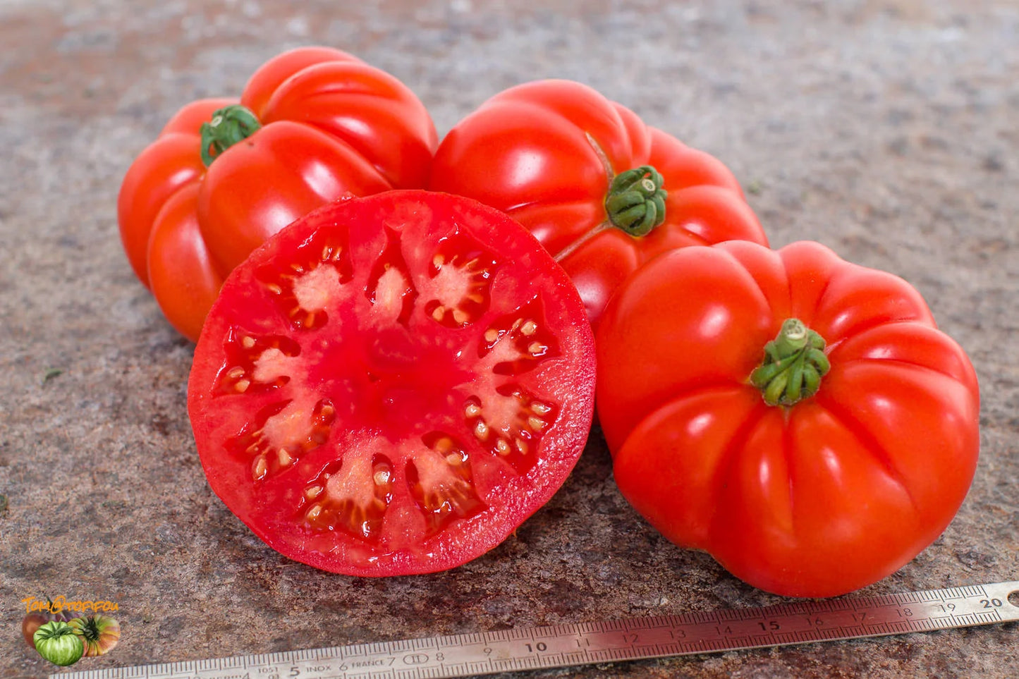 Tomato- Rouge De Marmande