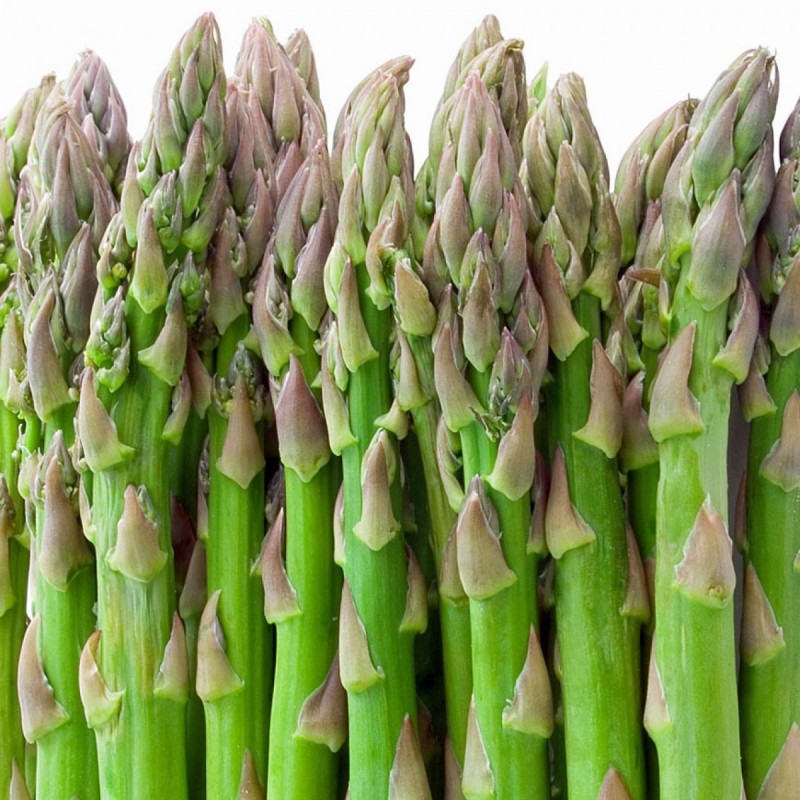 Asparagus- Mary Washington