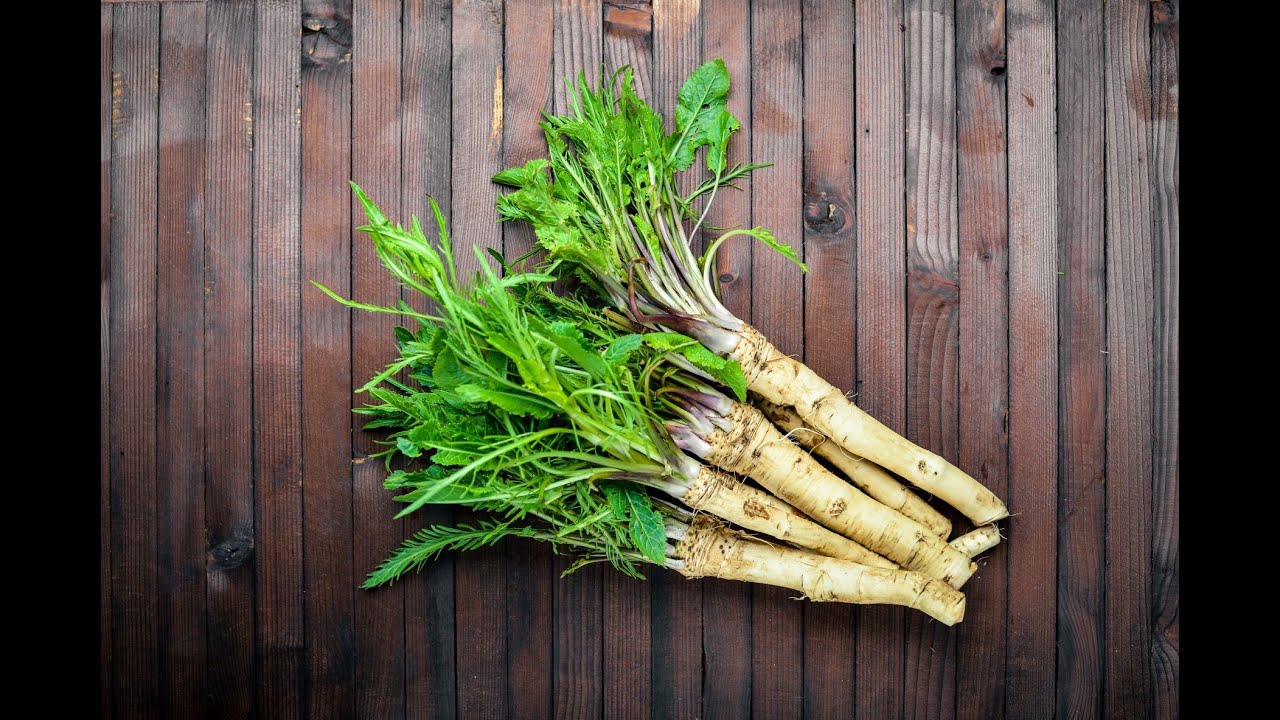 Horseradish (Root)