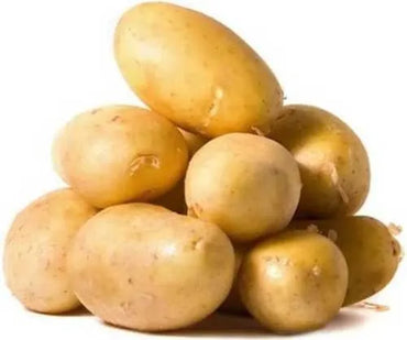 Certified Seed Potato- White Star