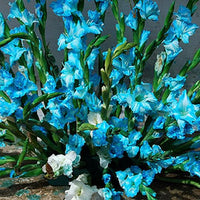 Tropic Sea Sky Blue Bulb