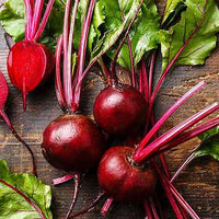 Beetroot Ruby Queen Vegetable Seeds