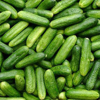 Cucumber Gherkin Vegetable Seeds