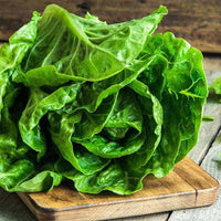 Lettuce Salad Crisp Head Great Lakes Green Vegetable Seeds