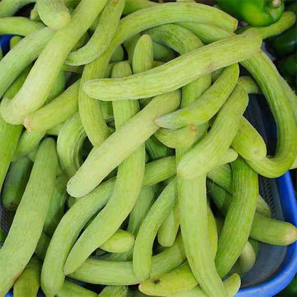 Long Melon, Kakri Selection Vegetable Seeds