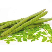 Moringa Oleifera, Drum Stick Rama Vegetable Seeds