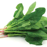 Spinach Organic Vegetable Seeds