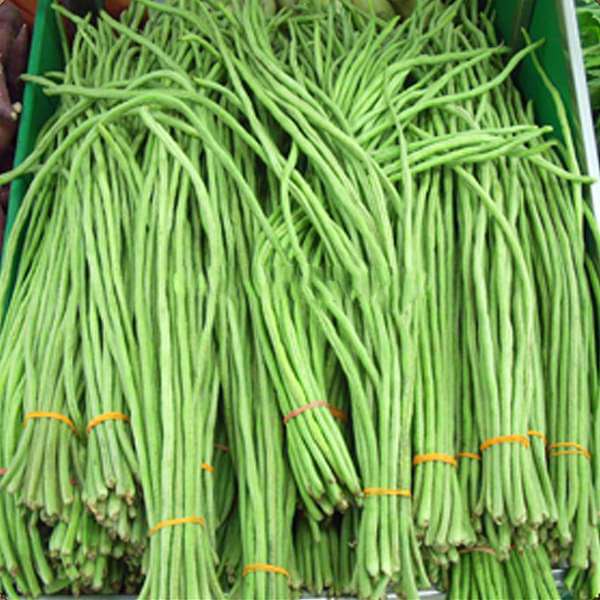 Yard Long Imported Beans Vegetable Seeds