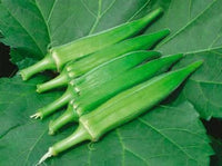 Bhindi, Okra Sujata Vegetable Seeds