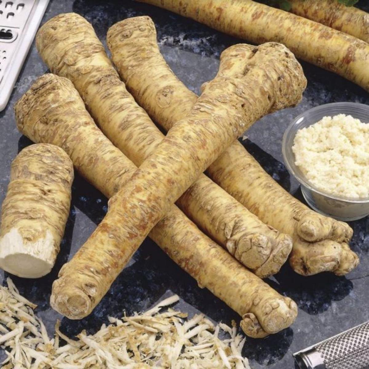 Horseradish (Root)