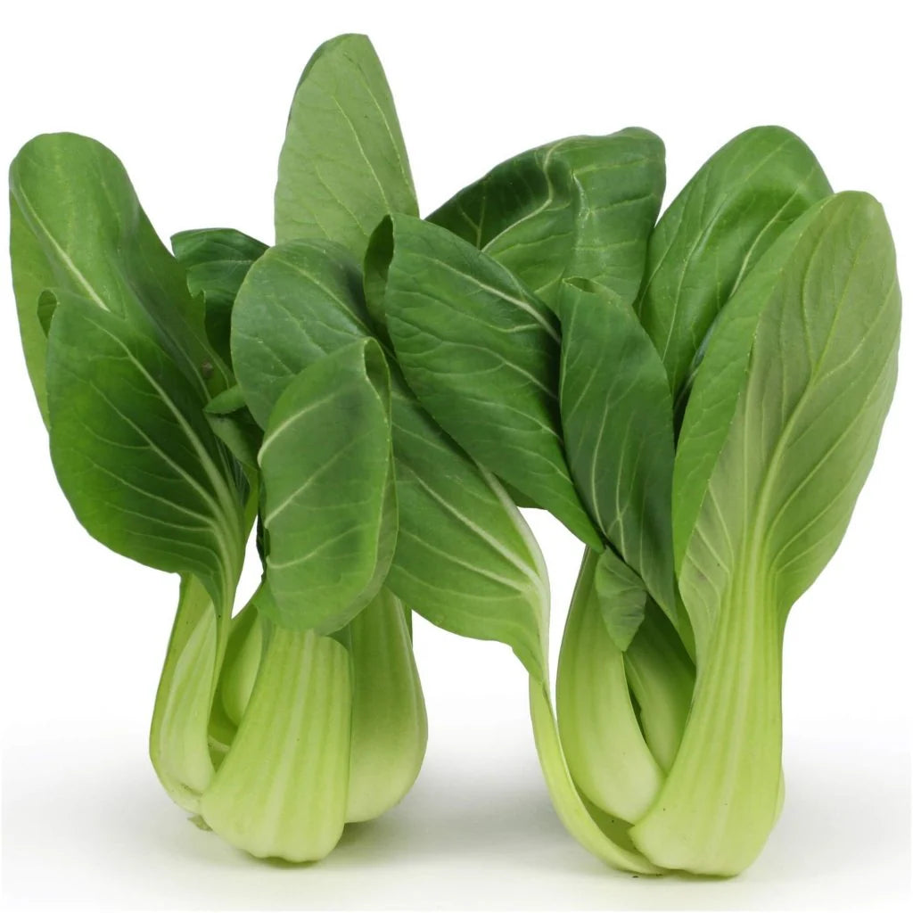 Cabbage, Chinese- Pak Choi - Kwang Moon