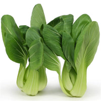 Cabbage, Chinese- Pak Choi - Kwang Moon