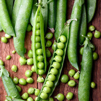 Peas Arkel Vegetable Seeds