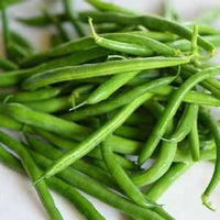 France Beans Selection Vegetable Seeds