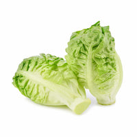 Lettuce- Little Gem