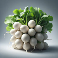 Radish- White Beauty