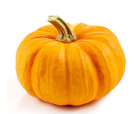 Pumpkin- Jack O' Lantern