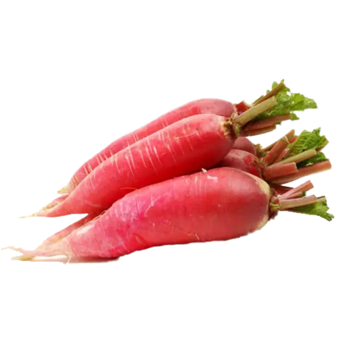 Radish- Mini Daikon Red F1