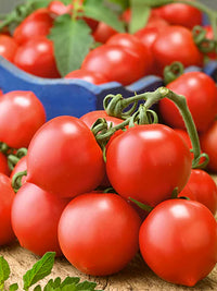 Tomato- Riesentraube