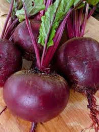 Beetroot Ruby Queen Vegetable Seeds