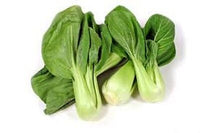 Chinese Cabbage, Pak Choi - White Stem