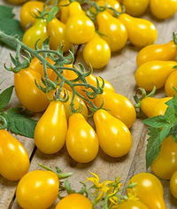 Tomato Yellow Pear Shaped Vegetable Seeds