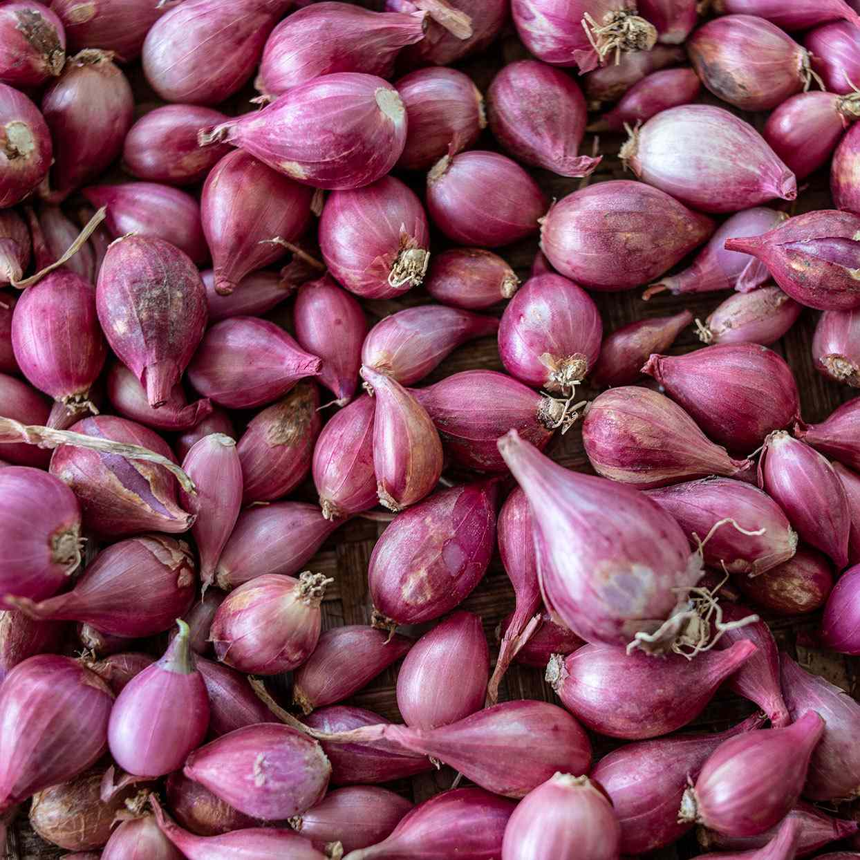 Red Shallot ()