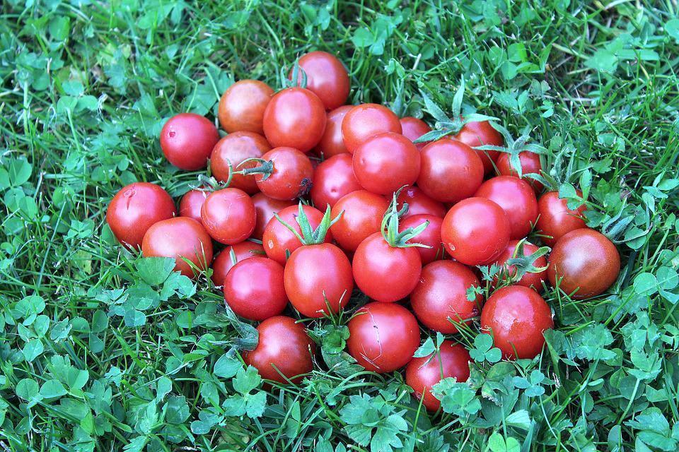 Tomato- Pink Marbles