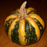 Pumpkin- Tonda Padana